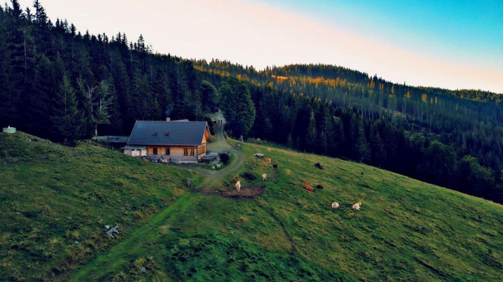 Вилла Urlaub Am Glatzl Bauernhof Sankt Lorenzen am Wechsel Экстерьер фото
