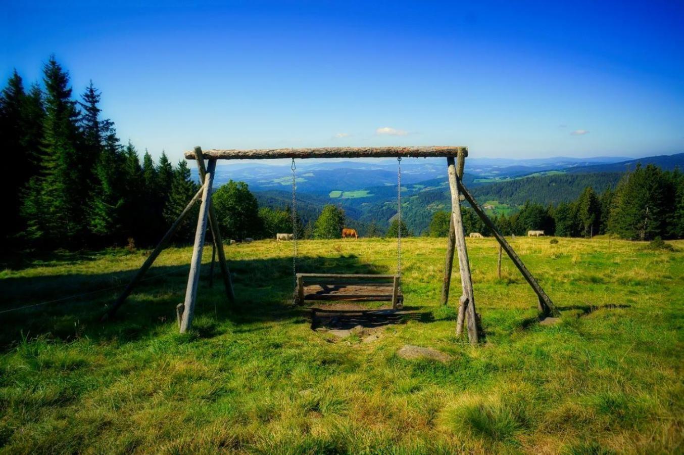 Вилла Urlaub Am Glatzl Bauernhof Sankt Lorenzen am Wechsel Экстерьер фото